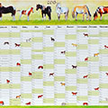 Kalender 2013: Pferde